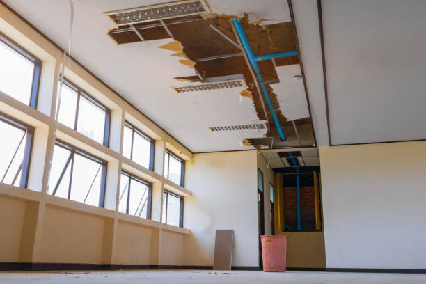 Best Water damage restoration near me  in Centerville, IA