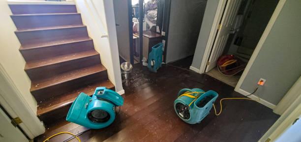 Best Ceiling water damage repair  in Centerville, IA