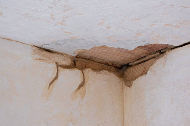 Best Water damage restoration insurance claims  in Centerville, IA