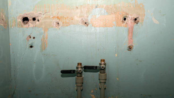 Best Basement water damage restoration  in Centerville, IA