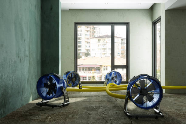 Best Professional water damage repair  in Centerville, IA