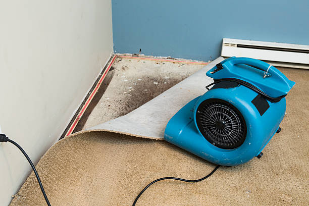 Best 24/7 water damage repair  in Centerville, IA